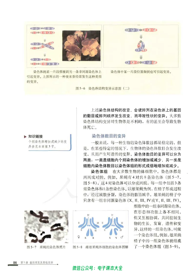 必修2《遗传与进化》_高中三年全科资料_高中_高中电子教材_旧教材_高中生物（人教旧版）_高中生物必修1-3（3本）