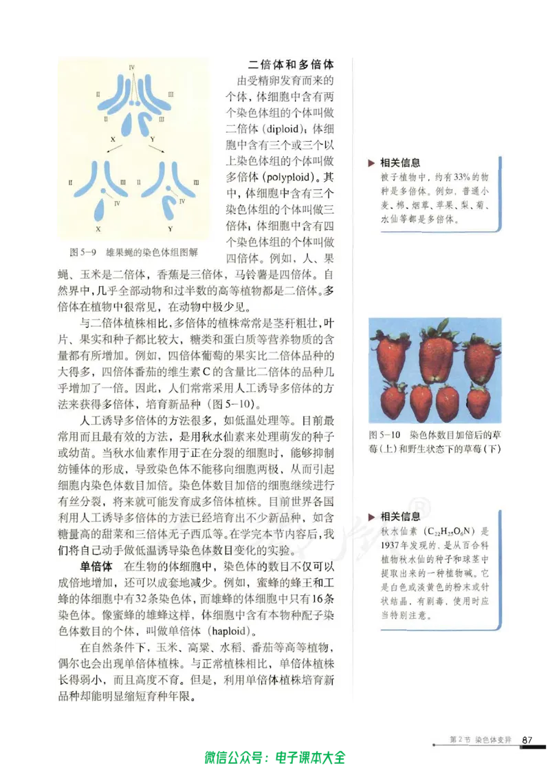 必修2《遗传与进化》_高中三年全科资料_高中_高中电子教材_旧教材_高中生物（人教旧版）_高中生物必修1-3（3本）