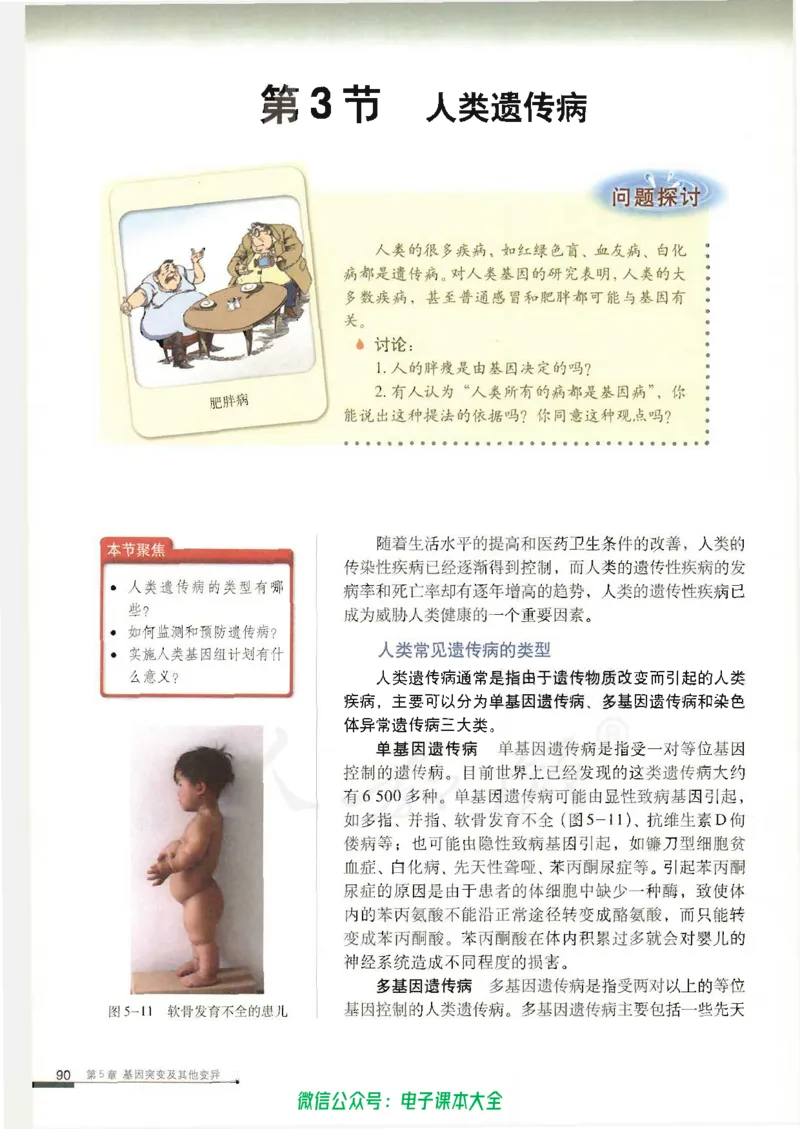必修2《遗传与进化》_高中三年全科资料_高中_高中电子教材_旧教材_高中生物（人教旧版）_高中生物必修1-3（3本）