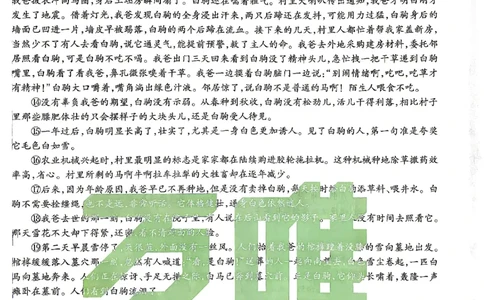 2026《万唯中考&bull;浙江黑白卷》语文白卷_中考押题2026《中考押题》系列（9科全套实时更新中）_万唯2026版初中《万唯黑白卷》7科全套（浙江）