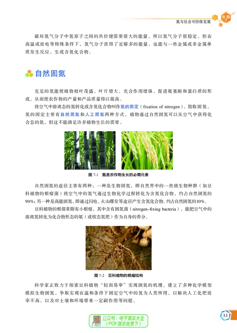 必修第二册（苏教版）_高中三年全科资料_高中_高中电子教材_高中化学_苏教版