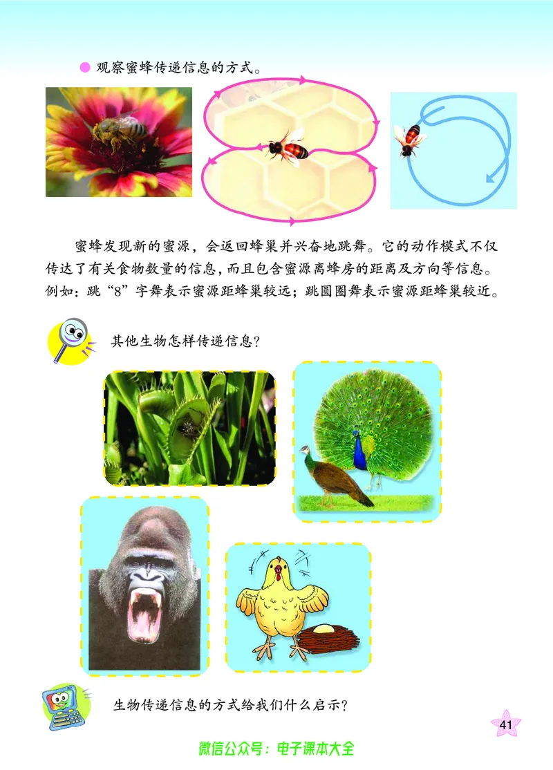 06六制六下科学（旧教材）_电子课本_小学电子课本_05科学_青岛版（63、54版）_小学科学青岛六三制1-6下册