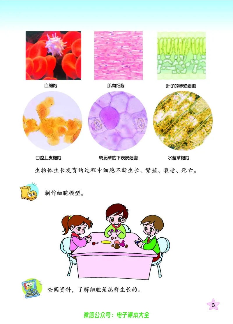06六制六下科学（旧教材）_电子课本_小学电子课本_05科学_青岛版（63、54版）_小学科学青岛六三制1-6下册