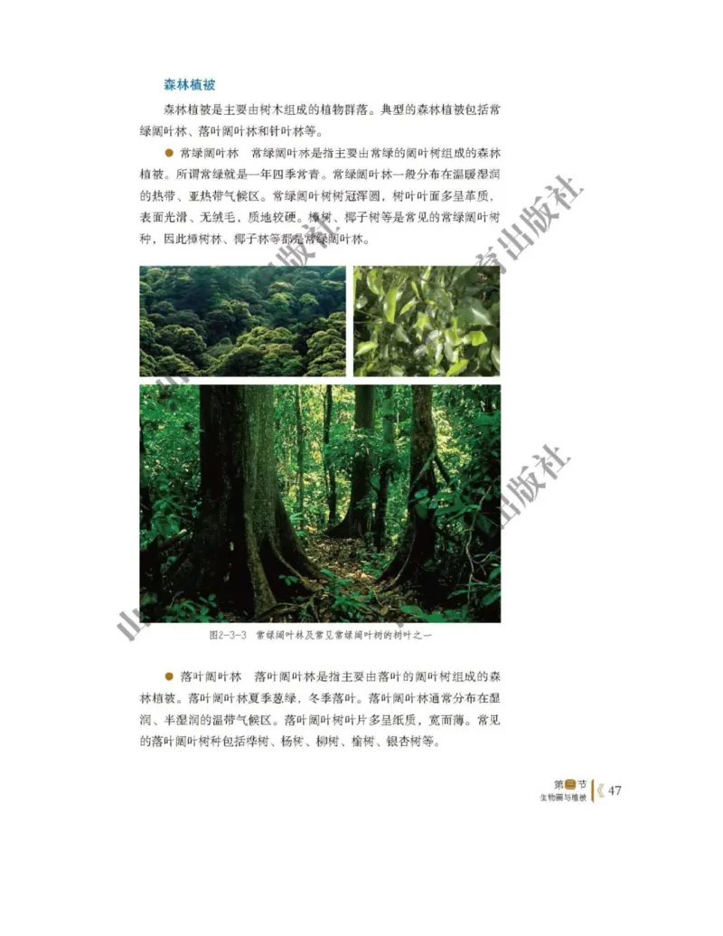 2019新鲁教版高中地理必修一_电子课本_最新版高中全科高清电子课本_9高中地理课本_鲁教版