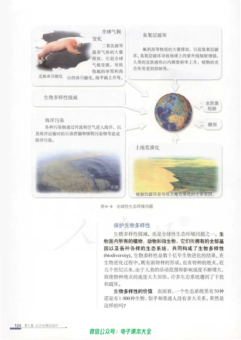 必修3《稳态与环境》_高中三年全科资料_高中_高中电子教材_旧教材_高中生物（人教旧版）_高中生物必修1-3（3本）