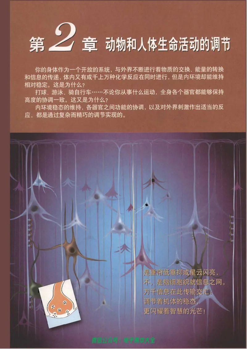 必修3《稳态与环境》_高中三年全科资料_高中_高中电子教材_旧教材_高中生物（人教旧版）_高中生物必修1-3（3本）