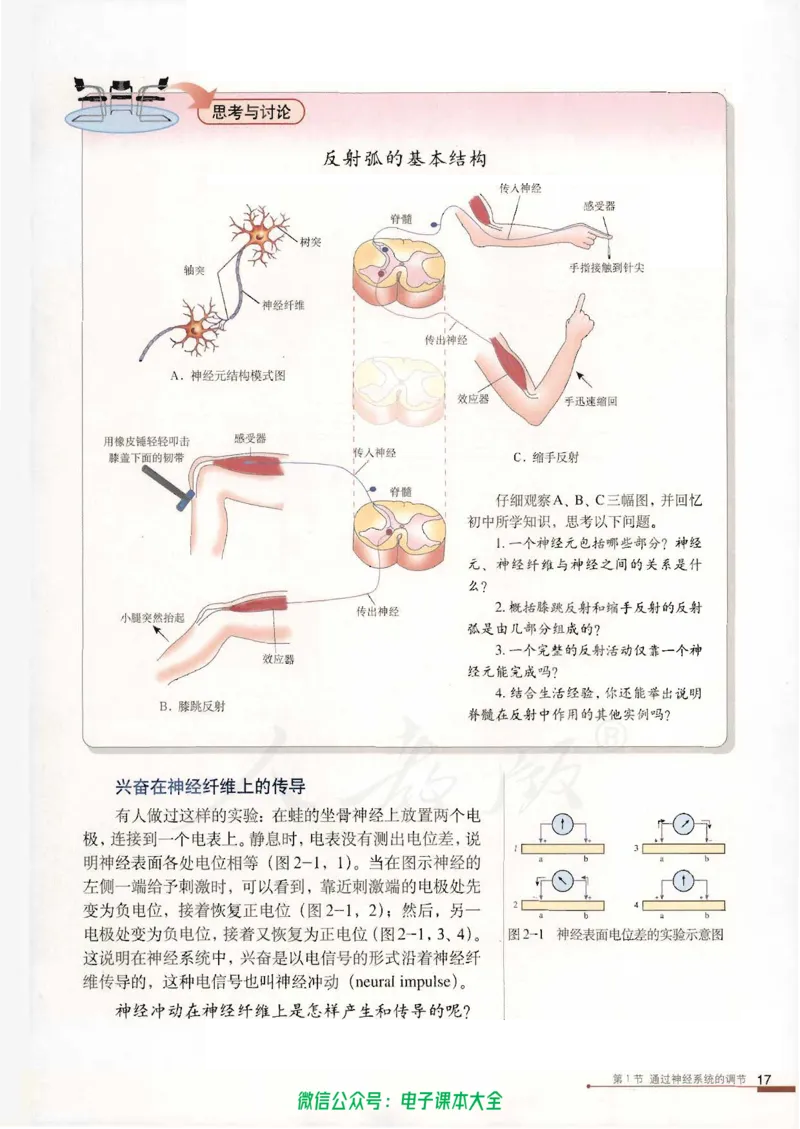 必修3《稳态与环境》_高中三年全科资料_高中_高中电子教材_旧教材_高中生物（人教旧版）_高中生物必修1-3（3本）