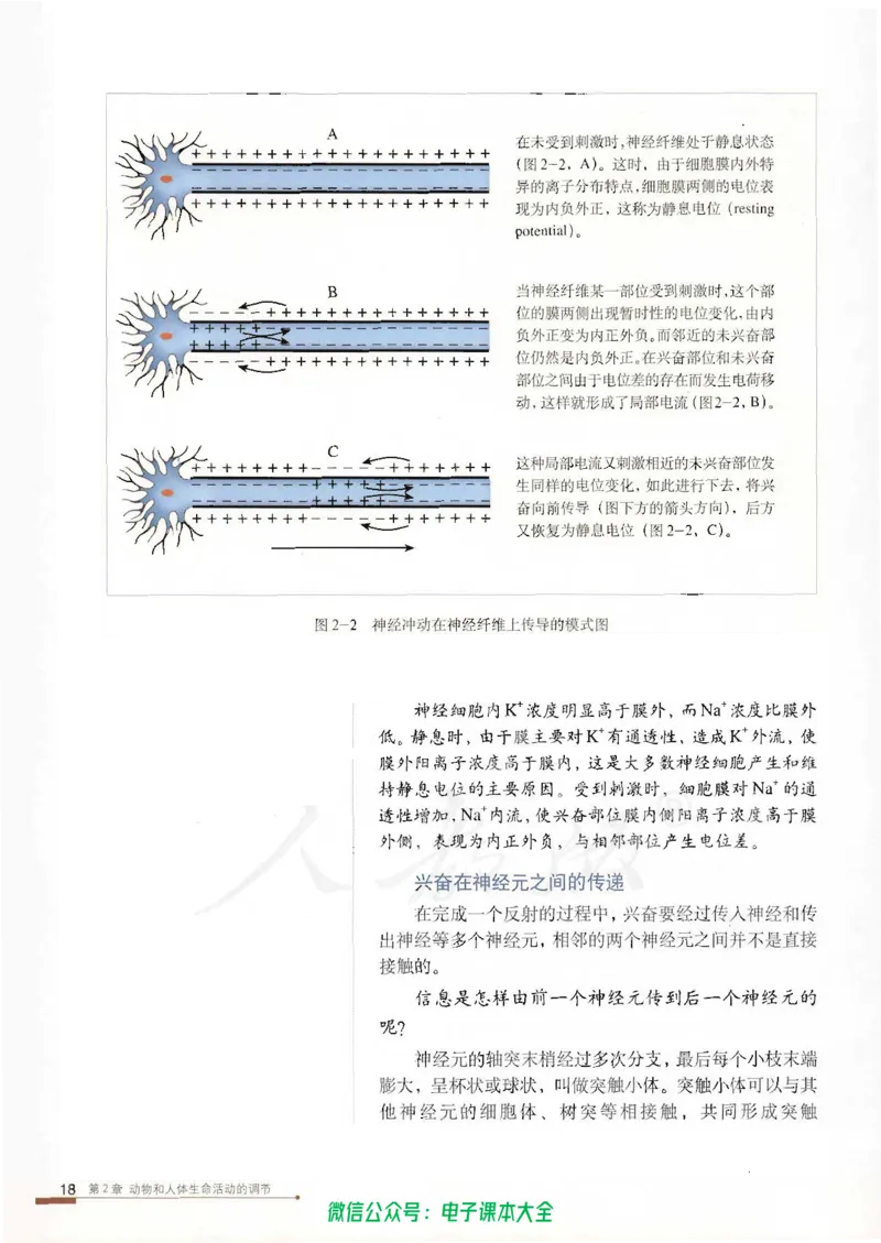必修3《稳态与环境》_高中三年全科资料_高中_高中电子教材_旧教材_高中生物（人教旧版）_高中生物必修1-3（3本）