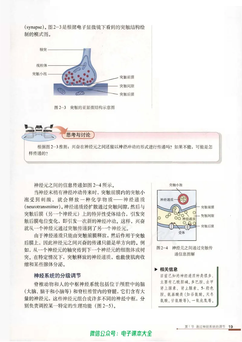 必修3《稳态与环境》_高中三年全科资料_高中_高中电子教材_旧教材_高中生物（人教旧版）_高中生物必修1-3（3本）