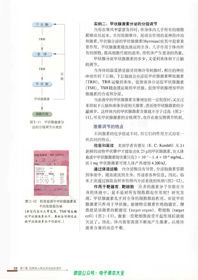 必修3《稳态与环境》_高中三年全科资料_高中_高中电子教材_旧教材_高中生物（人教旧版）_高中生物必修1-3（3本）