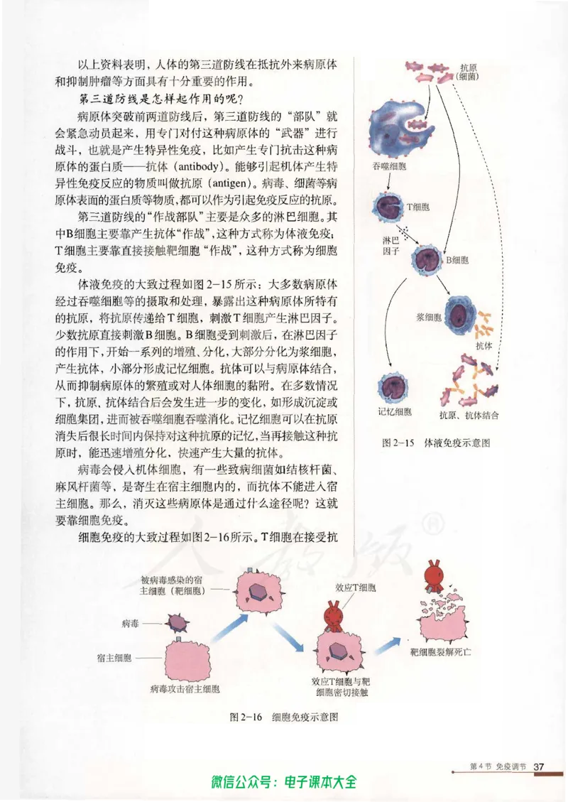 必修3《稳态与环境》_高中三年全科资料_高中_高中电子教材_旧教材_高中生物（人教旧版）_高中生物必修1-3（3本）