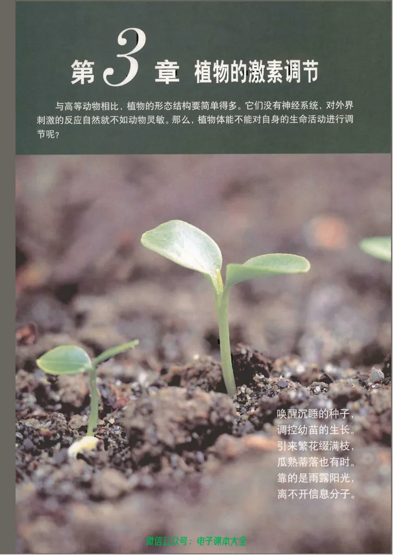 必修3《稳态与环境》_高中三年全科资料_高中_高中电子教材_旧教材_高中生物（人教旧版）_高中生物必修1-3（3本）