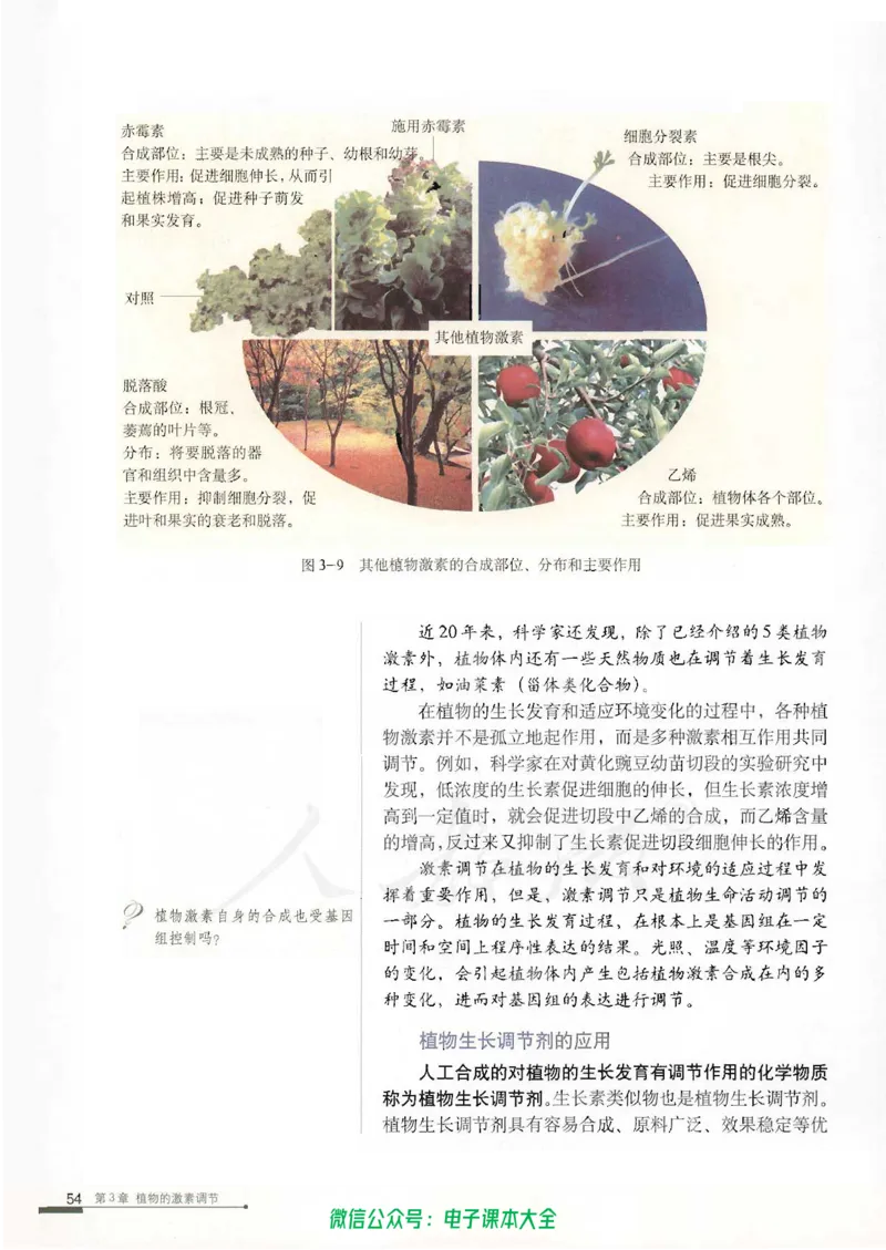 必修3《稳态与环境》_高中三年全科资料_高中_高中电子教材_旧教材_高中生物（人教旧版）_高中生物必修1-3（3本）