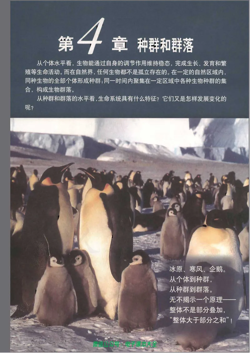 必修3《稳态与环境》_高中三年全科资料_高中_高中电子教材_旧教材_高中生物（人教旧版）_高中生物必修1-3（3本）
