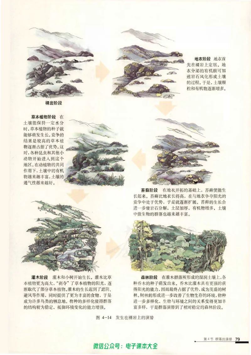 必修3《稳态与环境》_高中三年全科资料_高中_高中电子教材_旧教材_高中生物（人教旧版）_高中生物必修1-3（3本）
