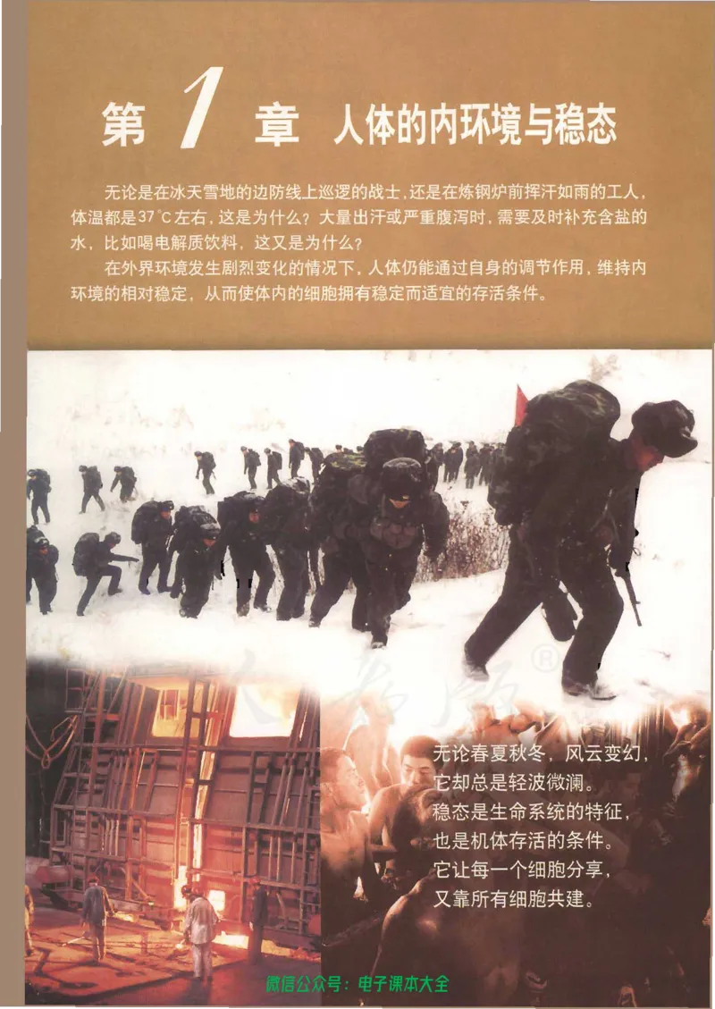必修3《稳态与环境》_高中三年全科资料_高中_高中电子教材_旧教材_高中生物（人教旧版）_高中生物必修1-3（3本）
