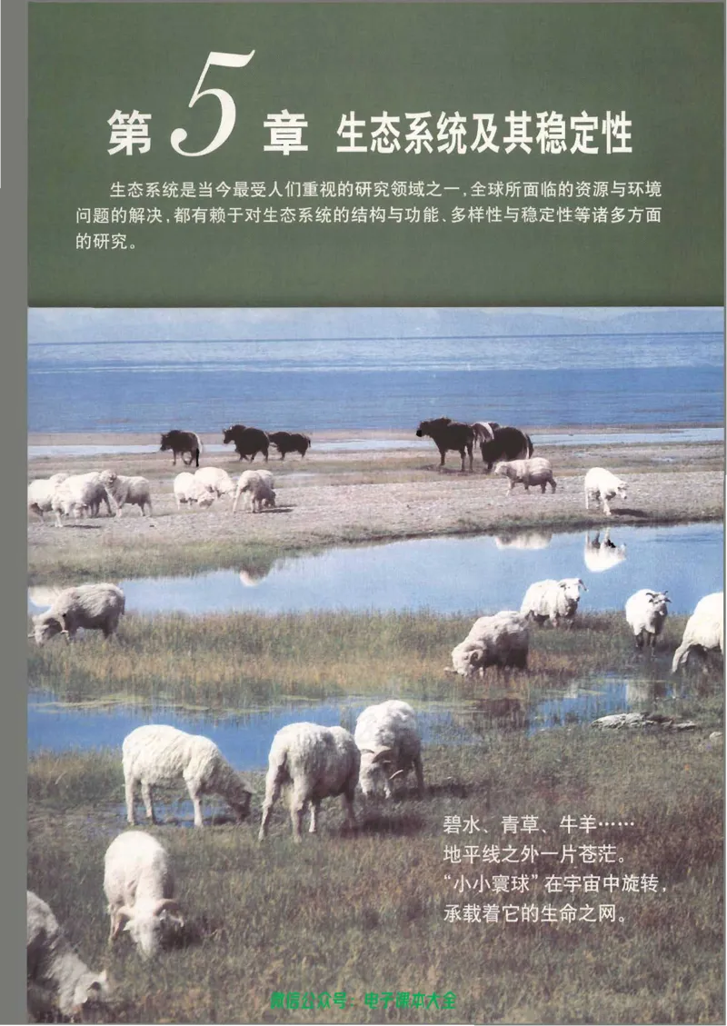必修3《稳态与环境》_高中三年全科资料_高中_高中电子教材_旧教材_高中生物（人教旧版）_高中生物必修1-3（3本）