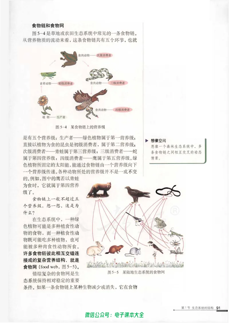 必修3《稳态与环境》_高中三年全科资料_高中_高中电子教材_旧教材_高中生物（人教旧版）_高中生物必修1-3（3本）