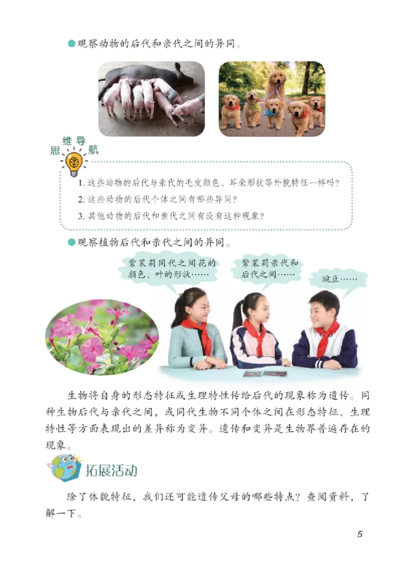 06六制六上科学（2023新版）_电子课本_小学电子课本_05科学_青岛版（63、54版）_小学科学青岛六三制1-6上册