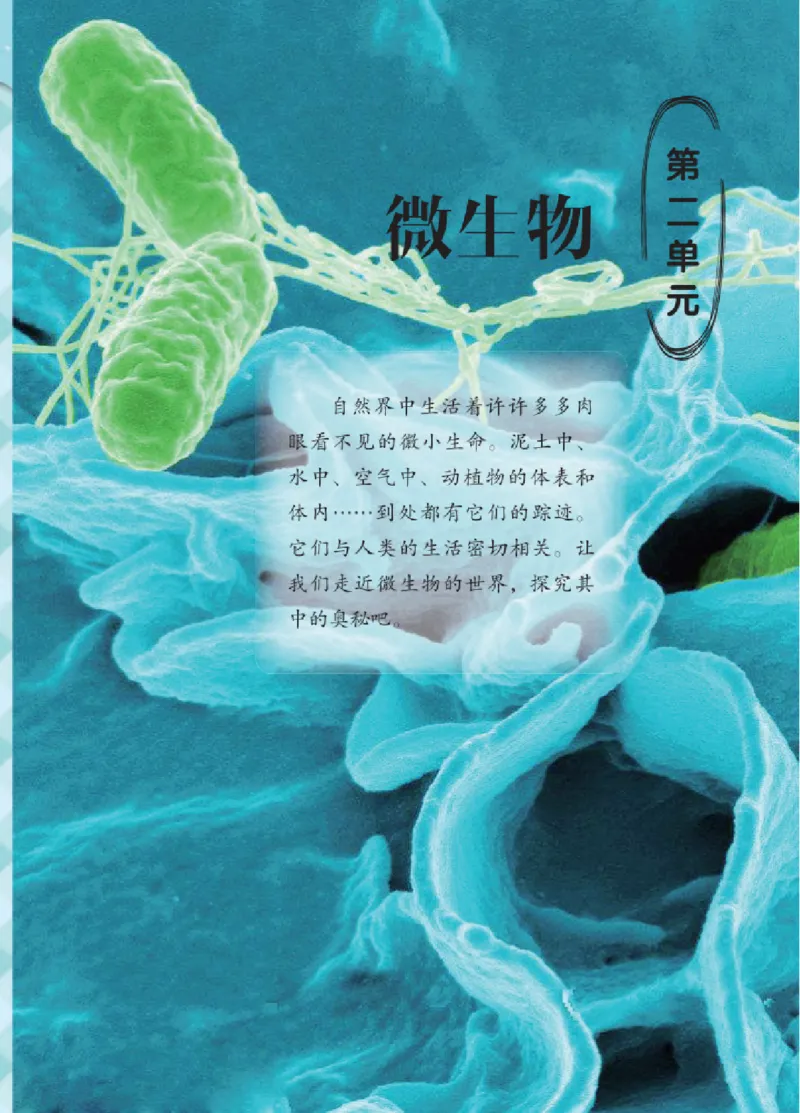 06六制六上科学（2023新版）_电子课本_小学电子课本_05科学_青岛版（63、54版）_小学科学青岛六三制1-6上册