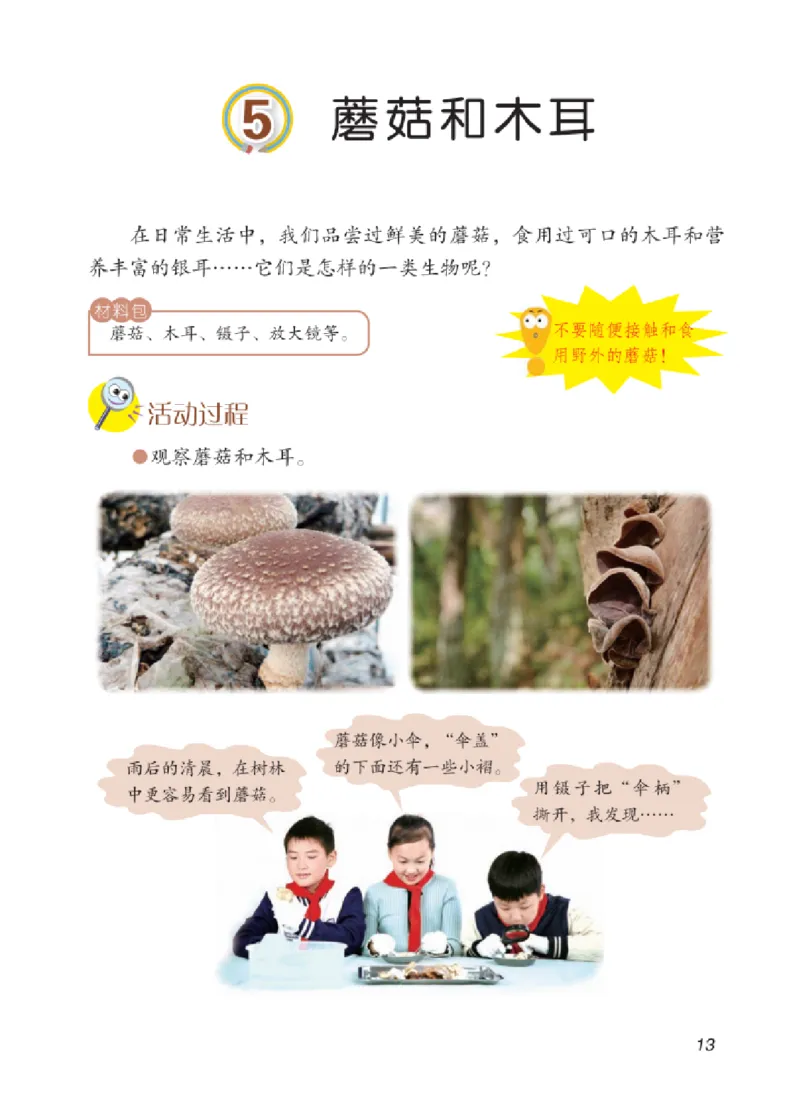 06六制六上科学（2023新版）_电子课本_小学电子课本_05科学_青岛版（63、54版）_小学科学青岛六三制1-6上册