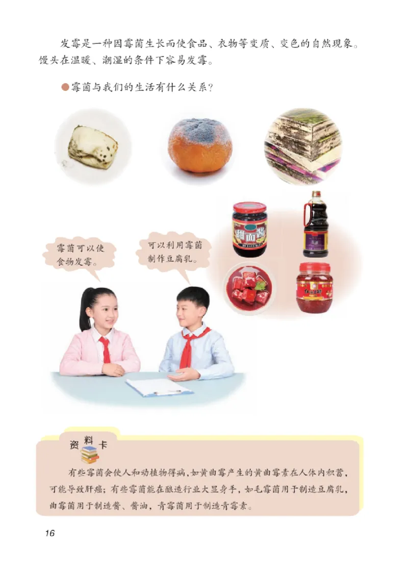 06六制六上科学（2023新版）_电子课本_小学电子课本_05科学_青岛版（63、54版）_小学科学青岛六三制1-6上册