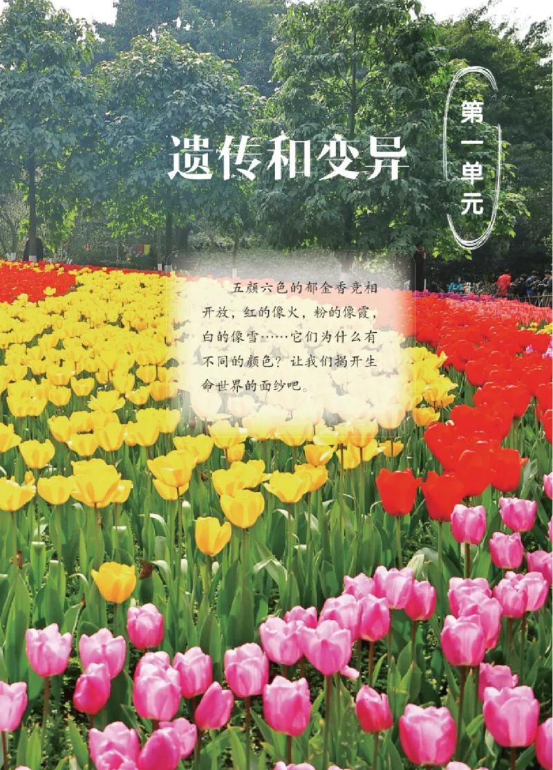 06六制六上科学（2023新版）_电子课本_小学电子课本_05科学_青岛版（63、54版）_小学科学青岛六三制1-6上册
