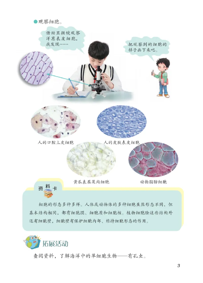 06六制六上科学（2023新版）_电子课本_小学电子课本_05科学_青岛版（63、54版）_小学科学青岛六三制1-6上册