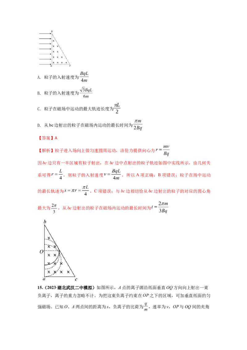 易错点11磁场-（4大陷阱）-备战2024年高考物理考试易错题（解析版）_高中三年全科资料_高中_15高中全科《高考易错题》2025版_高考物理备战2025年高考易错题（新高考专用）