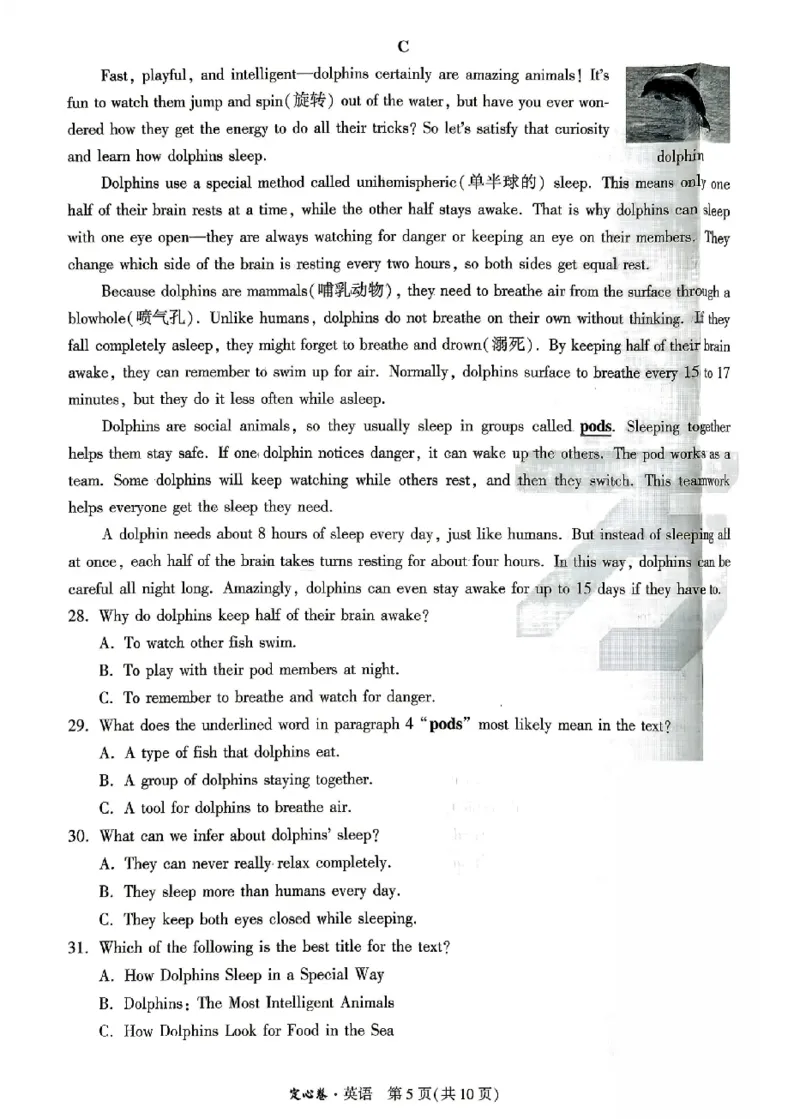 2026《万唯中考&bull;山东定心卷》英语_2026中考押题卷合集_2026《万唯中考定心卷》各地方版_2026《万唯中考&bull;山东定心卷》7科