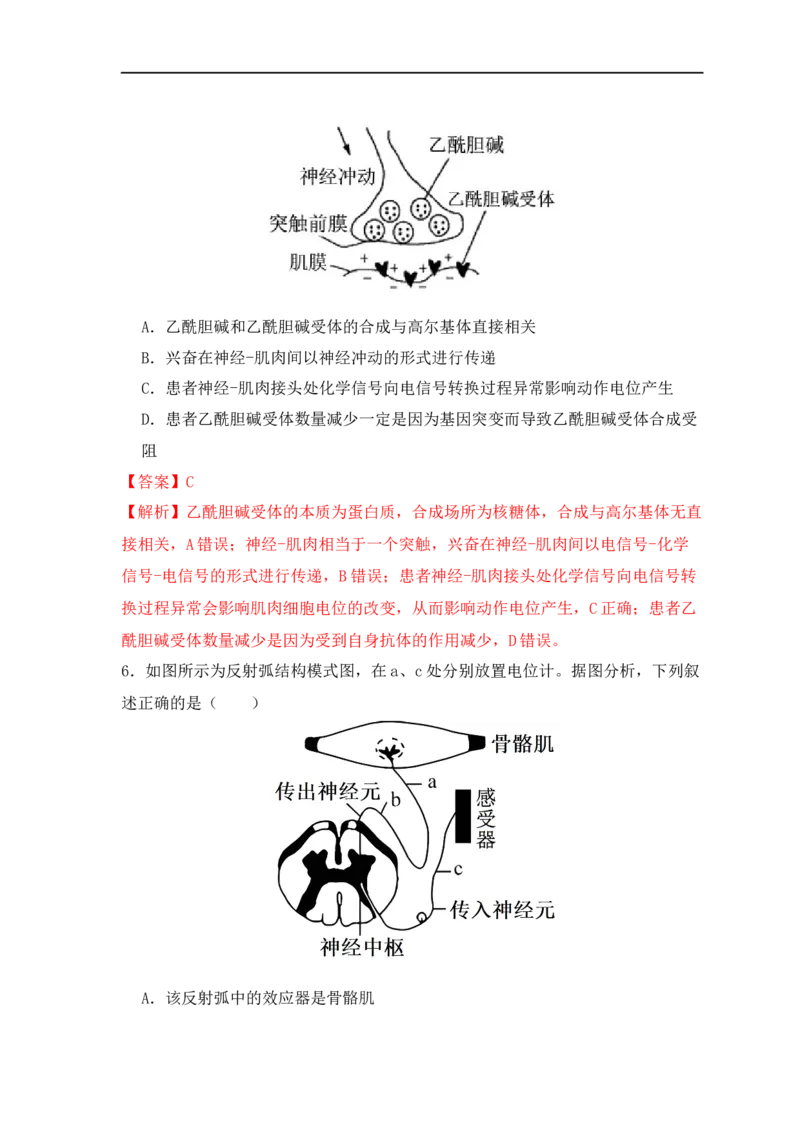易错点11神经调节的&ldquo;四个&rdquo;注意（解析版）_高中三年全科资料_高中_15高中全科《高考易错题》2025版_高考生物备战2025年高考易错题（新高考专用）_教师版（含答案解析）