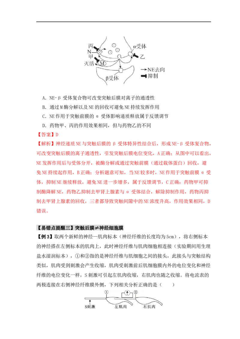 易错点11神经调节的&ldquo;四个&rdquo;注意（解析版）_高中三年全科资料_高中_15高中全科《高考易错题》2025版_高考生物备战2025年高考易错题（新高考专用）_教师版（含答案解析）