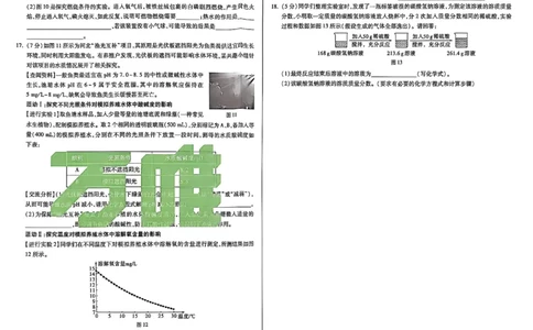 2026《万唯中考&bull;河北黑白卷》化学白卷_2026中考押题卷合集_2026《万唯中考黑白卷》地方版(1)_2026《万唯中考&bull;河北黑白卷》7科_2026《万唯中考&bull;河北黑白卷》化学