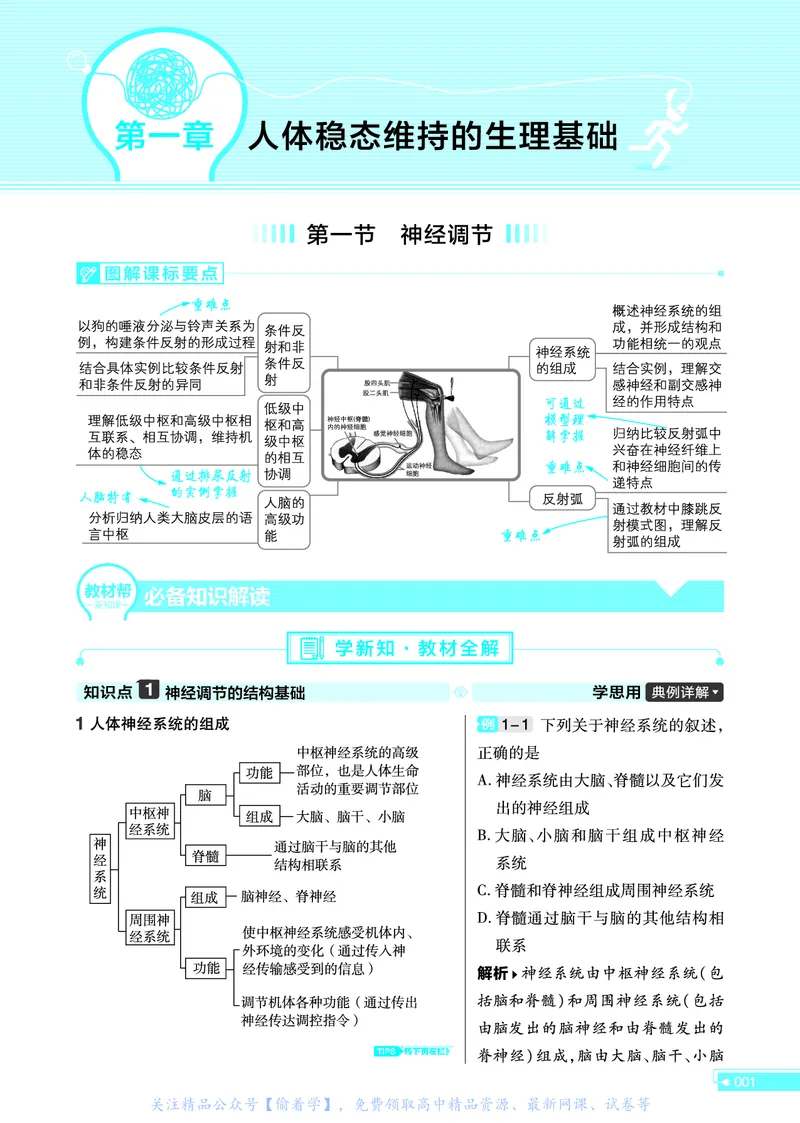 教材帮高中生物学选择性必修1（配SJ版）_高中三年全科资料_高中_高中电子教材_高中《教材帮》2025版高中《教材帮》（全科高清）_教材帮高中生物