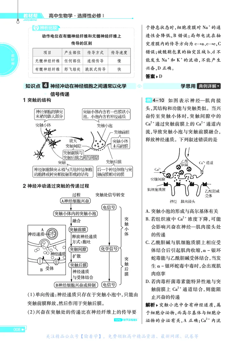 教材帮高中生物学选择性必修1（配SJ版）_高中三年全科资料_高中_高中电子教材_高中《教材帮》2025版高中《教材帮》（全科高清）_教材帮高中生物