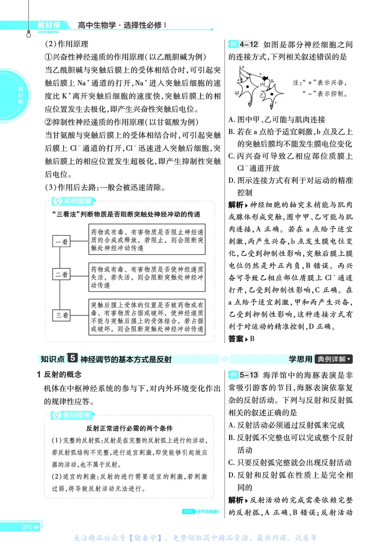 教材帮高中生物学选择性必修1（配SJ版）_高中三年全科资料_高中_高中电子教材_高中《教材帮》2025版高中《教材帮》（全科高清）_教材帮高中生物
