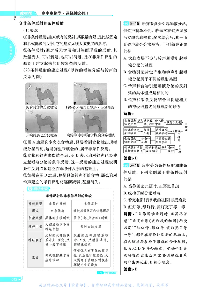 教材帮高中生物学选择性必修1（配SJ版）_高中三年全科资料_高中_高中电子教材_高中《教材帮》2025版高中《教材帮》（全科高清）_教材帮高中生物