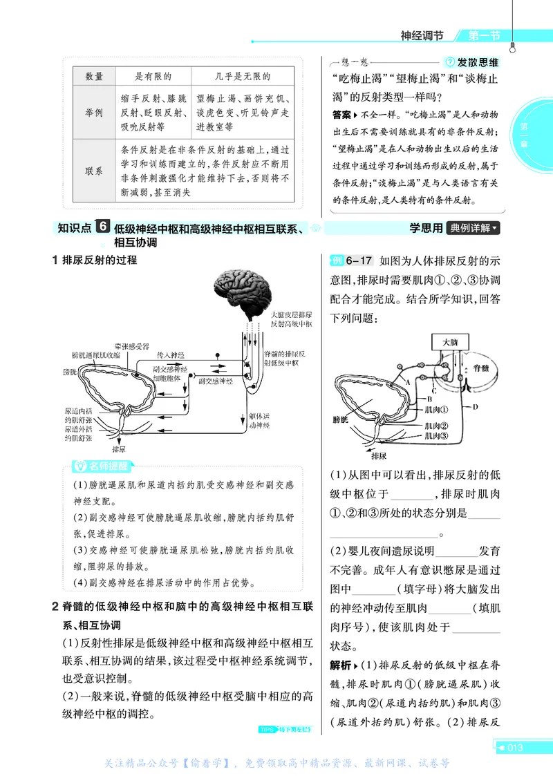 教材帮高中生物学选择性必修1（配SJ版）_高中三年全科资料_高中_高中电子教材_高中《教材帮》2025版高中《教材帮》（全科高清）_教材帮高中生物