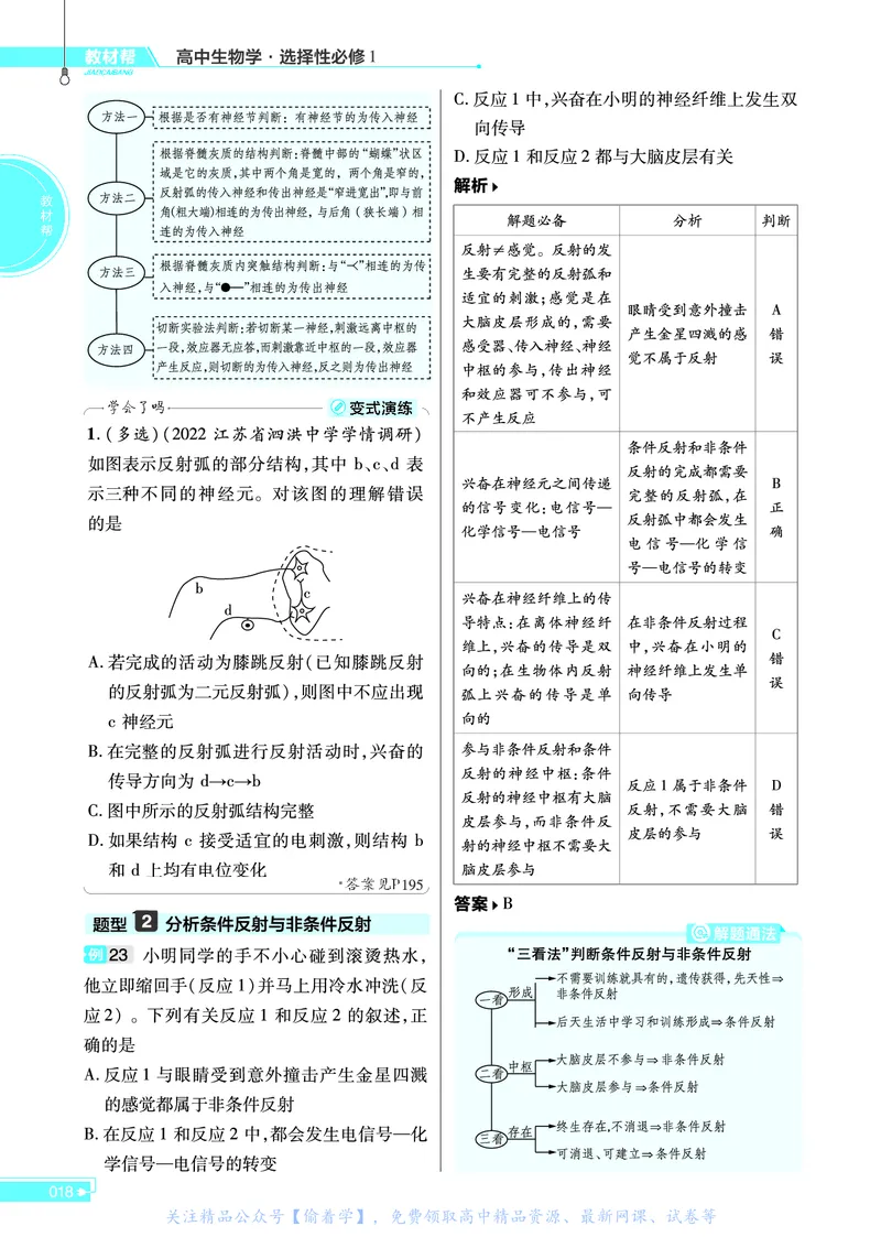 教材帮高中生物学选择性必修1（配SJ版）_高中三年全科资料_高中_高中电子教材_高中《教材帮》2025版高中《教材帮》（全科高清）_教材帮高中生物