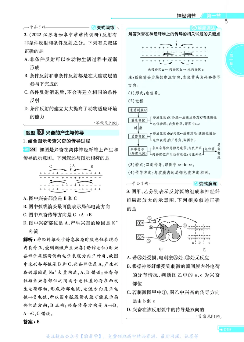 教材帮高中生物学选择性必修1（配SJ版）_高中三年全科资料_高中_高中电子教材_高中《教材帮》2025版高中《教材帮》（全科高清）_教材帮高中生物