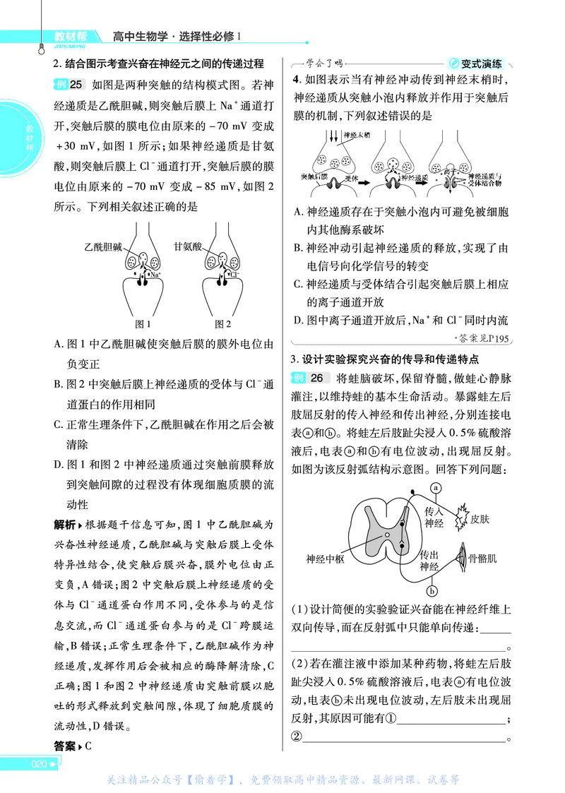 教材帮高中生物学选择性必修1（配SJ版）_高中三年全科资料_高中_高中电子教材_高中《教材帮》2025版高中《教材帮》（全科高清）_教材帮高中生物
