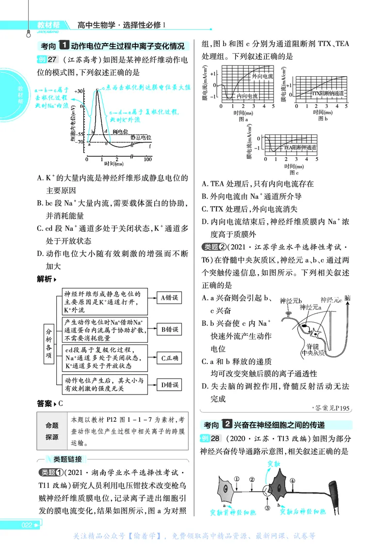 教材帮高中生物学选择性必修1（配SJ版）_高中三年全科资料_高中_高中电子教材_高中《教材帮》2025版高中《教材帮》（全科高清）_教材帮高中生物