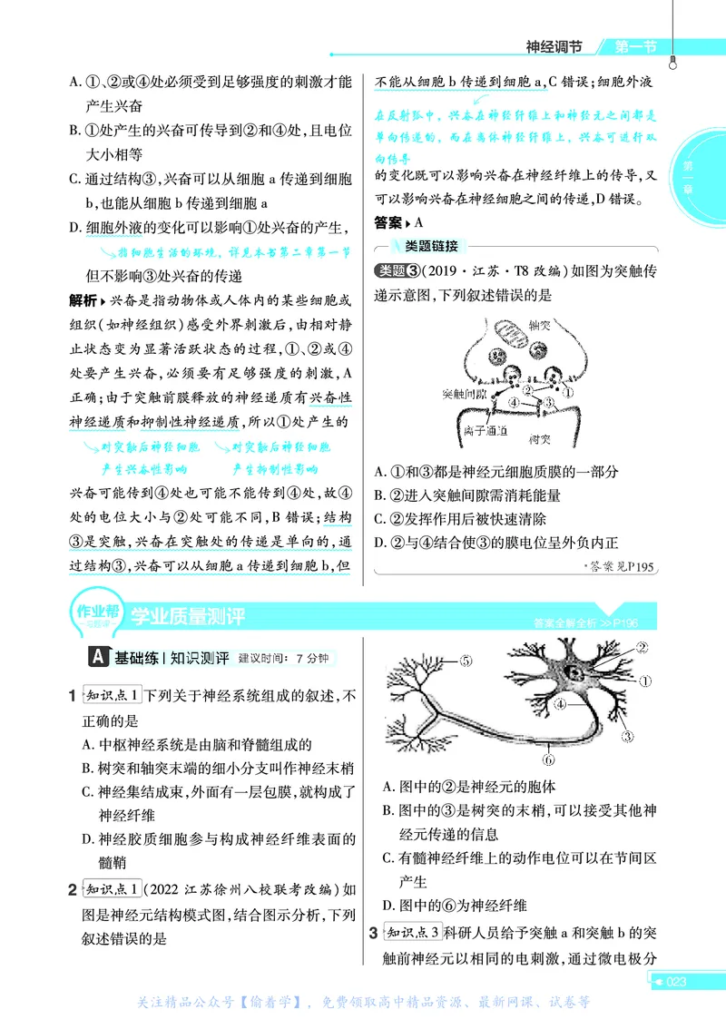 教材帮高中生物学选择性必修1（配SJ版）_高中三年全科资料_高中_高中电子教材_高中《教材帮》2025版高中《教材帮》（全科高清）_教材帮高中生物
