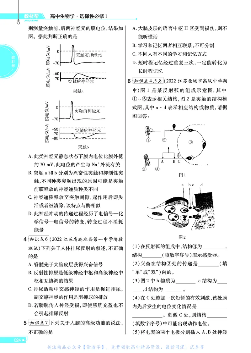 教材帮高中生物学选择性必修1（配SJ版）_高中三年全科资料_高中_高中电子教材_高中《教材帮》2025版高中《教材帮》（全科高清）_教材帮高中生物