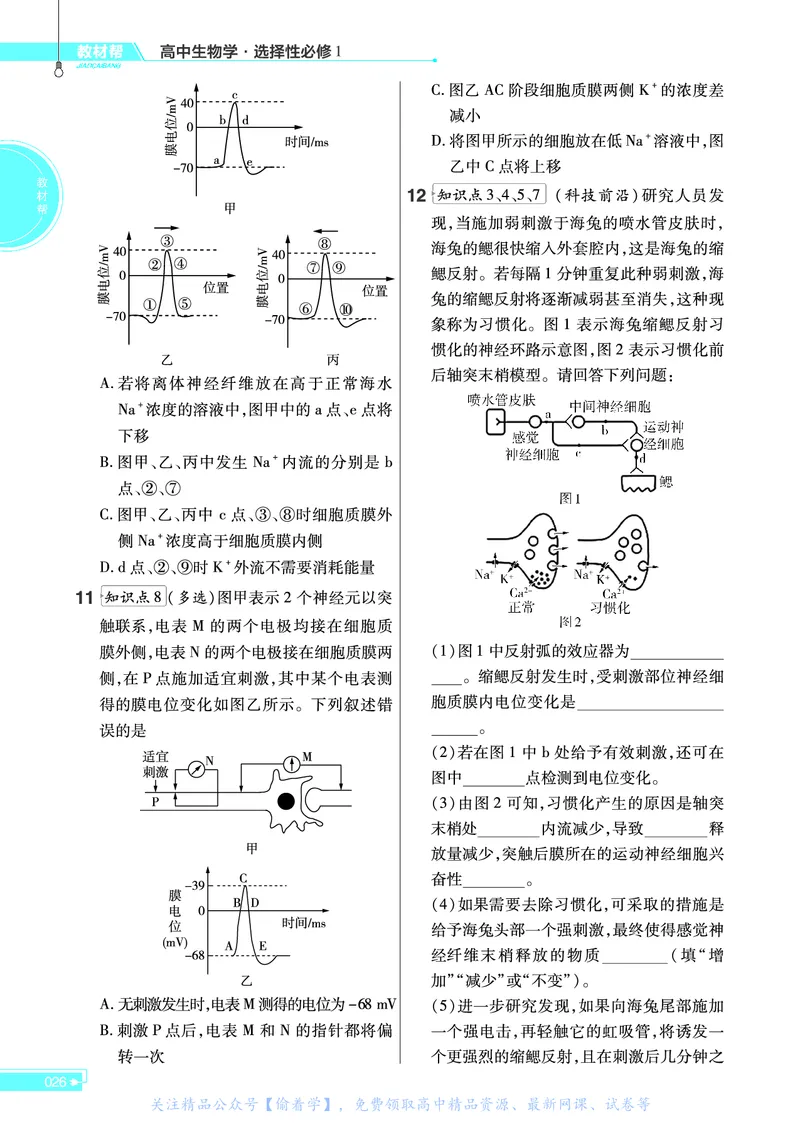 教材帮高中生物学选择性必修1（配SJ版）_高中三年全科资料_高中_高中电子教材_高中《教材帮》2025版高中《教材帮》（全科高清）_教材帮高中生物