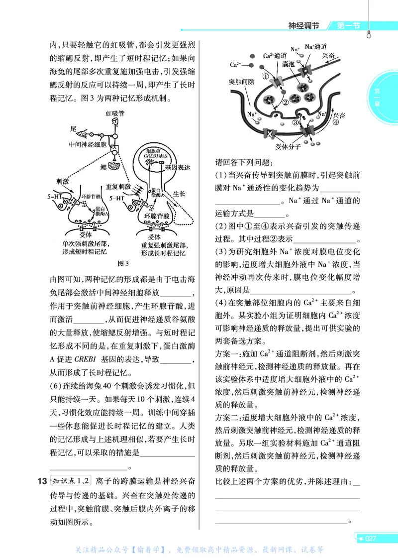 教材帮高中生物学选择性必修1（配SJ版）_高中三年全科资料_高中_高中电子教材_高中《教材帮》2025版高中《教材帮》（全科高清）_教材帮高中生物