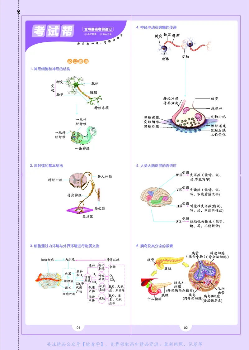 教材帮高中生物学选择性必修1（配SJ版）_高中三年全科资料_高中_高中电子教材_高中《教材帮》2025版高中《教材帮》（全科高清）_教材帮高中生物
