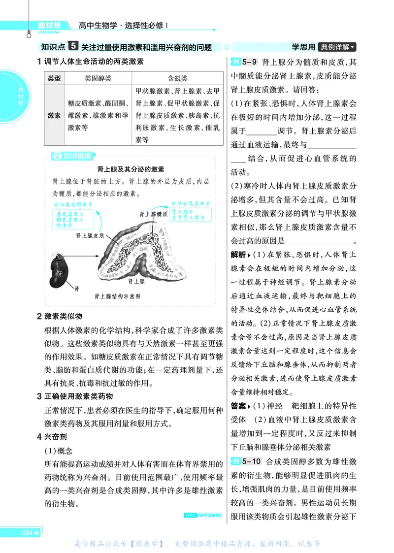教材帮高中生物学选择性必修1（配SJ版）_高中三年全科资料_高中_高中电子教材_高中《教材帮》2025版高中《教材帮》（全科高清）_教材帮高中生物