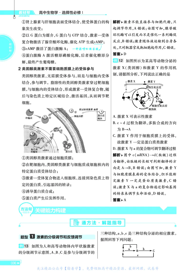 教材帮高中生物学选择性必修1（配SJ版）_高中三年全科资料_高中_高中电子教材_高中《教材帮》2025版高中《教材帮》（全科高清）_教材帮高中生物