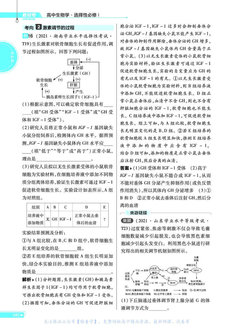 教材帮高中生物学选择性必修1（配SJ版）_高中三年全科资料_高中_高中电子教材_高中《教材帮》2025版高中《教材帮》（全科高清）_教材帮高中生物